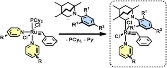 Schematic of a ruthenium-catalyzed reaction: after loss of PCy3 and pyridine from the starting ruthenium complex, a new complex containing an N-heterocyclic carbene ligand is formed.