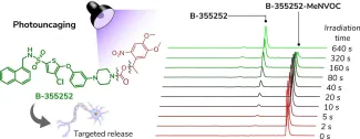 Light-activated form of B-355252 showing gradual release of the active compound during irradiation. The graph illustrates the time-dependent efficiency of photolysis.